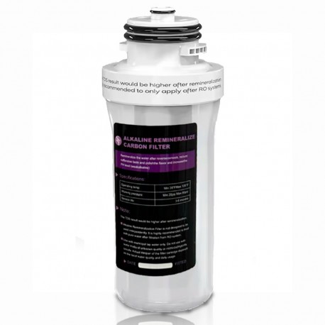 Dreifach wirkender Inline-Wassernachfilter-Austausch